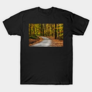 Autumn Beauty T-Shirt